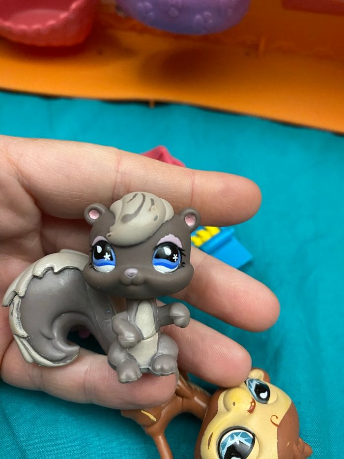 Littlest pet shop le club détente - photo numéro 6