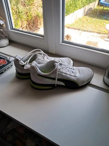 Puma leader vt mesh