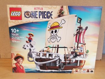Lego Bateau One Piece 75639