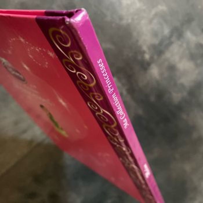 Livre de princesse Mulan Disney