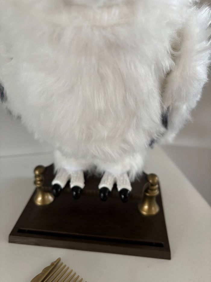 Hedwige - photo numéro 3