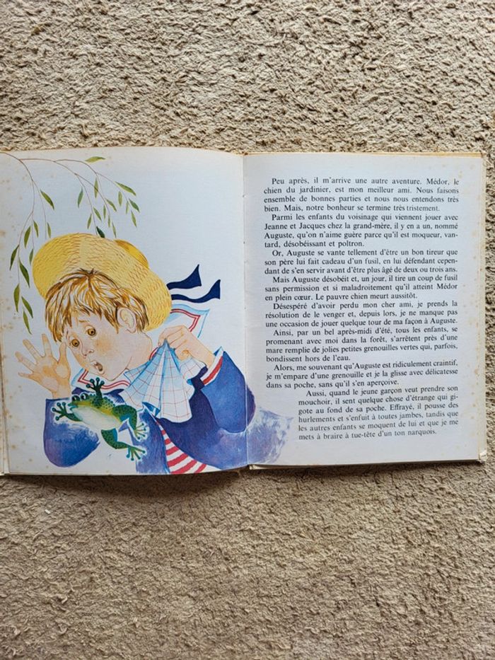 Lot 2 livres vintage enfants – Années 70 – La chèvre et les biquets & Les mémoires d’un âne - photo numéro 9