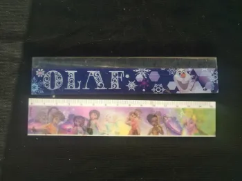 Lot de 2 petites Règle Disney
