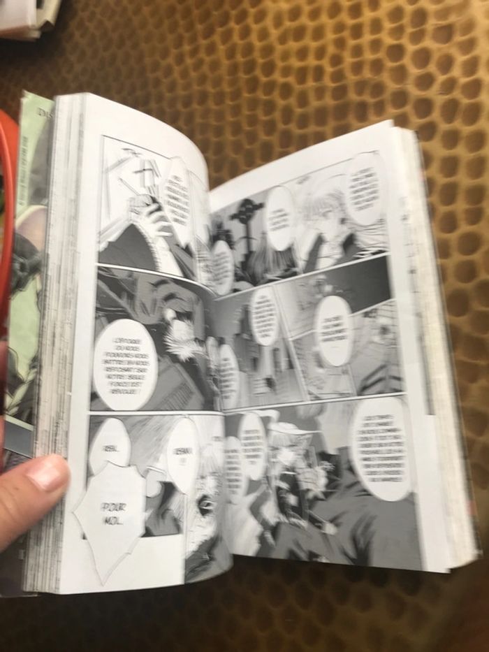 Vampire chronicles : la légende du roi déchu. Vol. 1 - photo numéro 3