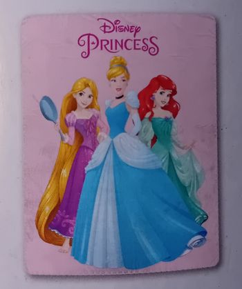 Plaid Disney princesses