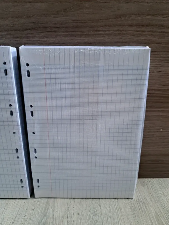 Feuilles simples + Feuilles doubles Oxford - photo numéro 5