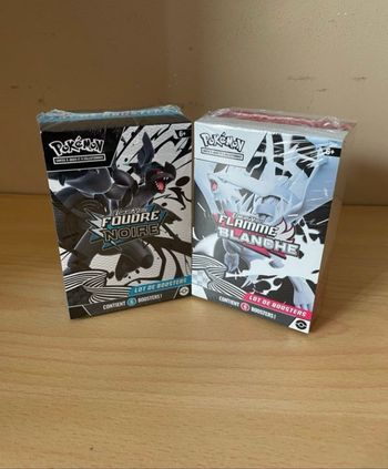Lot 2 Bundles 10.5 Pokémon