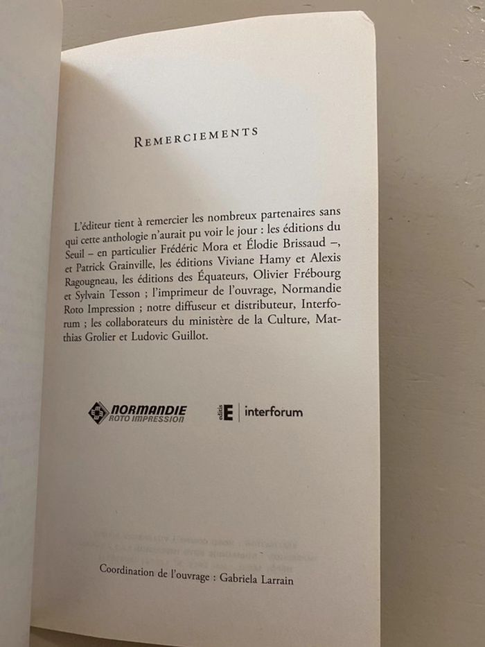 Livre Notre Dame - photo numéro 10