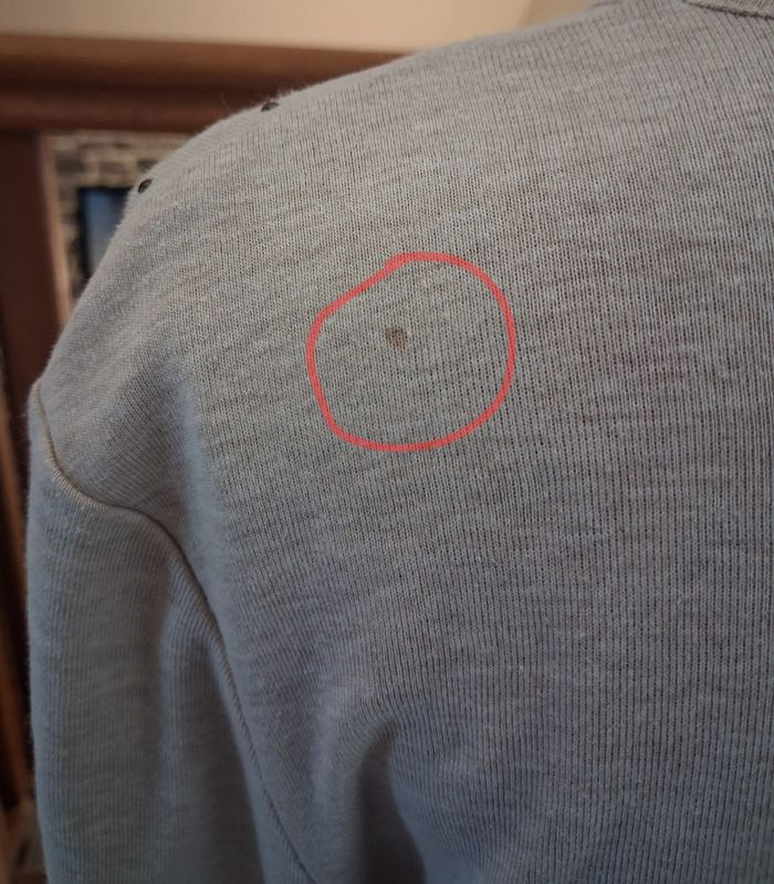 Pull fin beige imprimé, brodé et avec des sequins - photo numéro 6