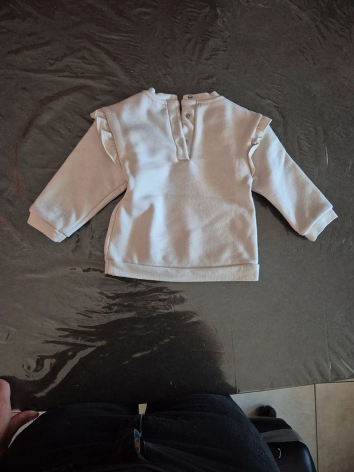 Pull chat - photo numéro 4