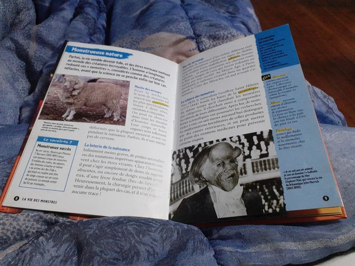 La vie des montres - photo numéro 3