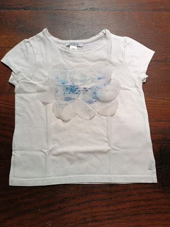 Tee shirt poisson