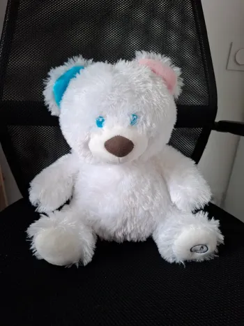 Ours peluche