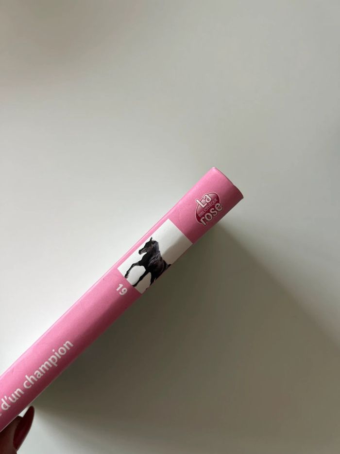 Livre l’étalon noir - photo numéro 2