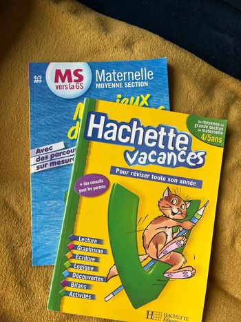Lot cahier de vacances 4/5 ans