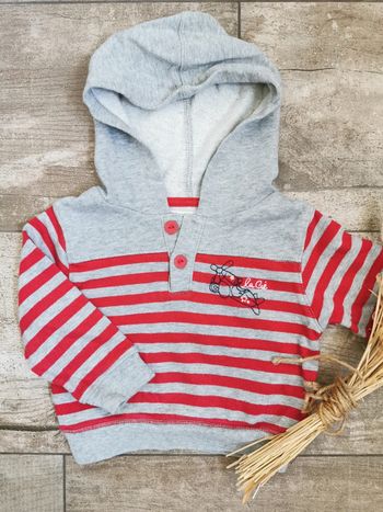 🌺La compagnie des petits Sweat a capuche 12mois
