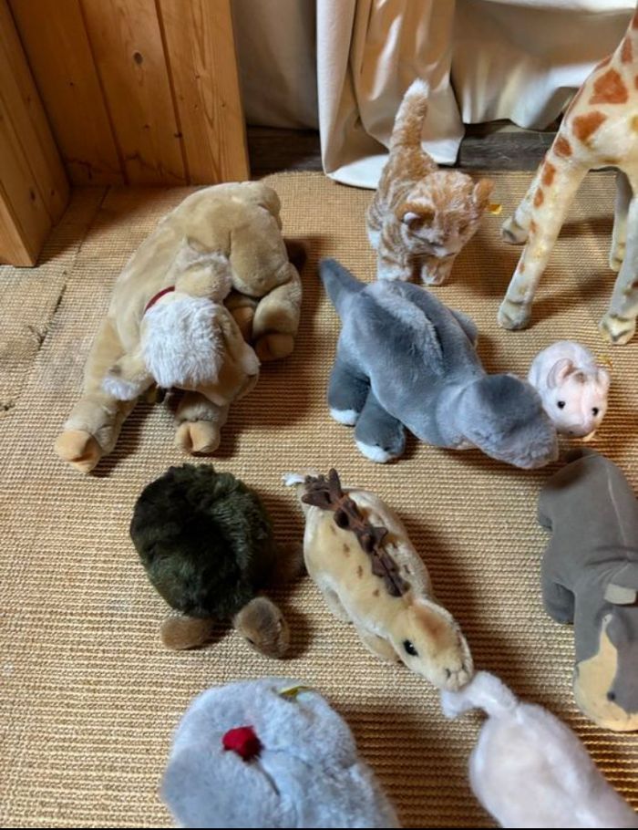 Steiff & Co. Plush toys - 13 pieces - photo numéro 2