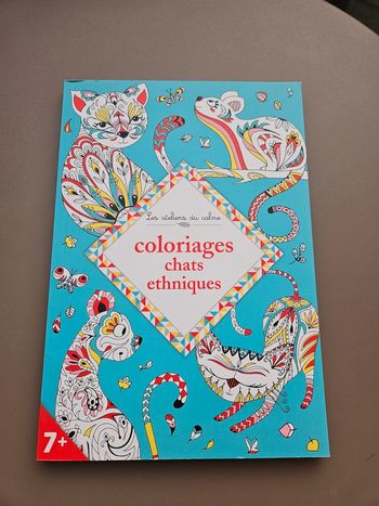 Coloriage chats ethniques