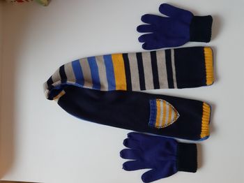 Lot écharpe et gants DPAM