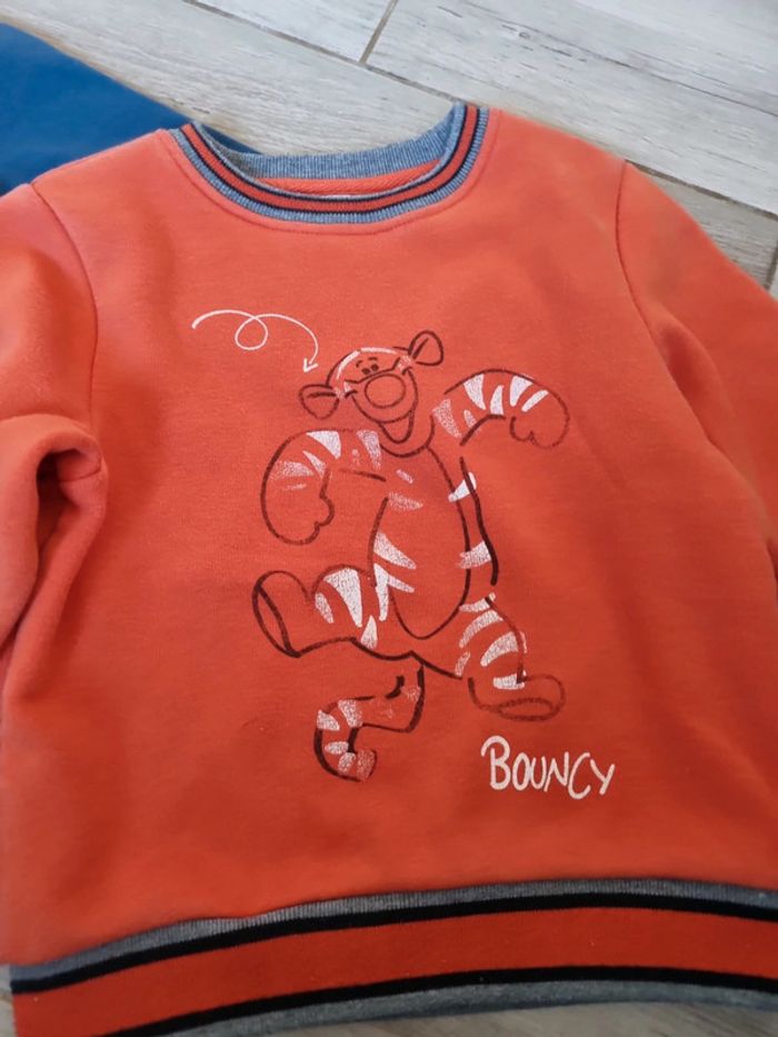 Lot de 2 pulls sweats - photo numéro 3