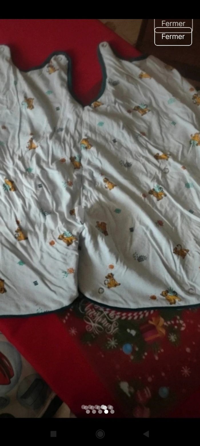 Gigoteuse v12 - photo numéro 2