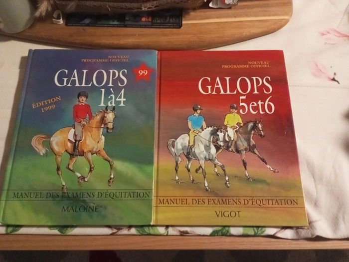 Livres galops 1 à 4/ galops 5 et 6/ Galops 1 à 4 questions réponses - photo numéro 2