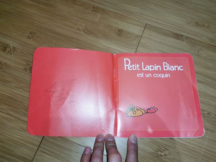 Petit Lapin Blanc est un coquin - photo numéro 2