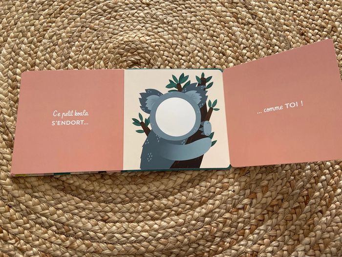 Livre qui se cache dans le miroir - photo numéro 4