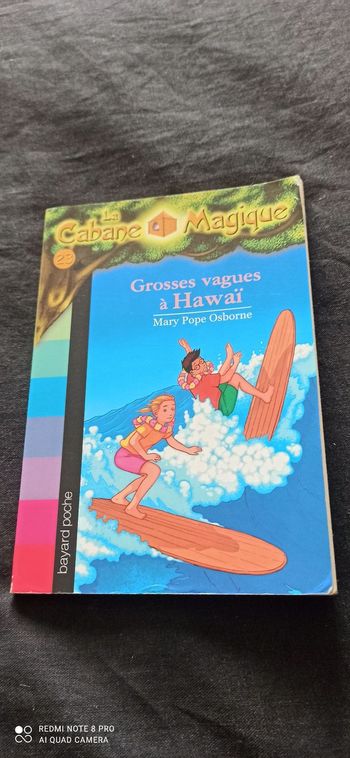 Livre grosses vagues à hawaï