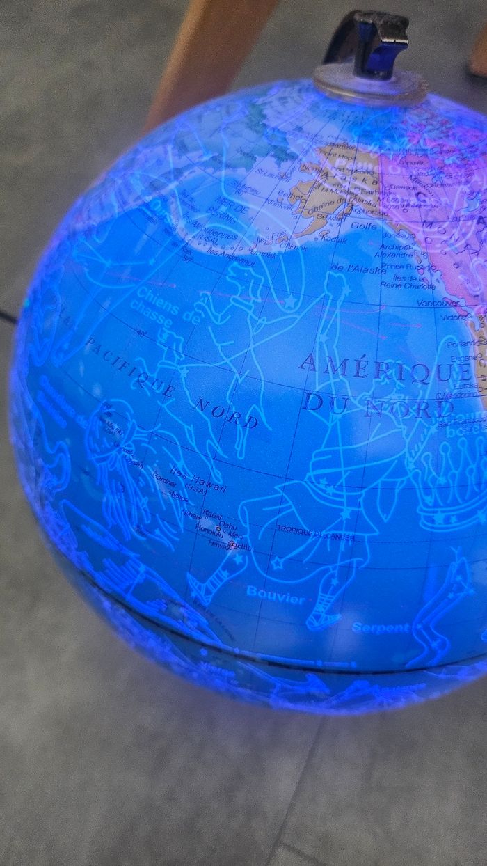 Globe map monde - photo numéro 5