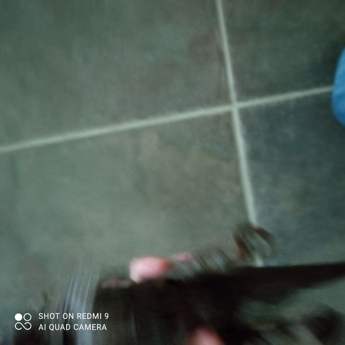 Triceratops jurassic World - photo numéro 3