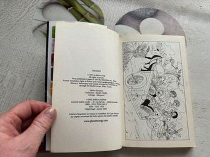 Livre Once Piece - photo numéro 4