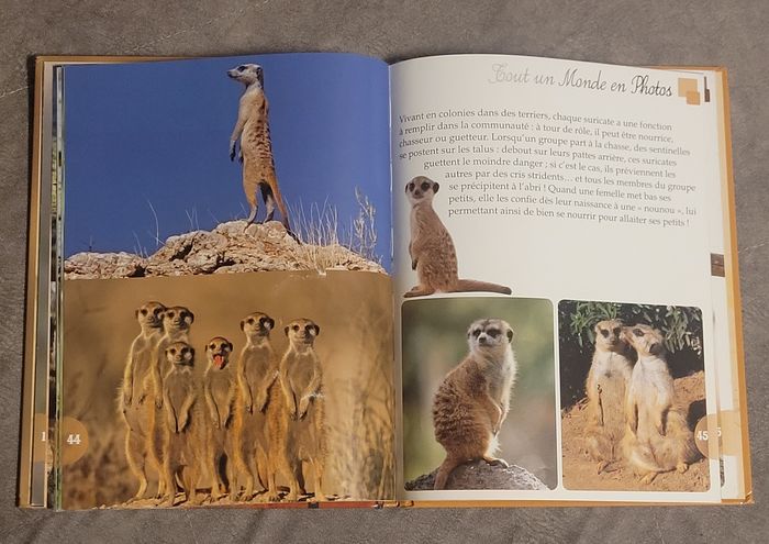 Les animaux de la savane Piccolia - photo numéro 4
