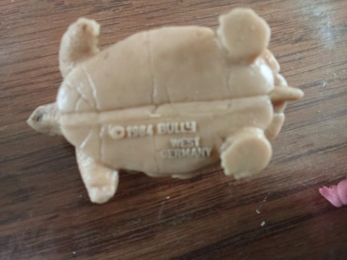 Petit animaux - photo numéro 3