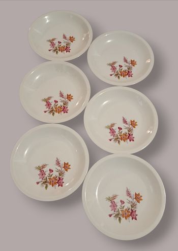Lots de 6 assiettes fleuries (Porcelaine)