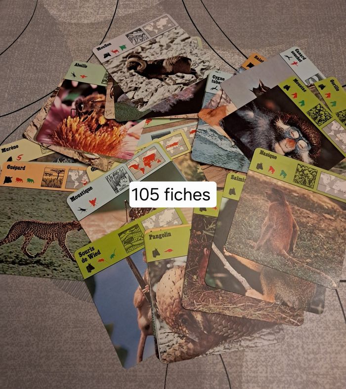 Fiches NEUVES instructives pour les enfants *Atlas* - photo numéro 5