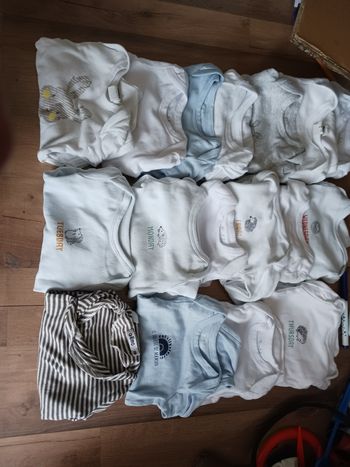 Lot 17 bodies en 3 mois