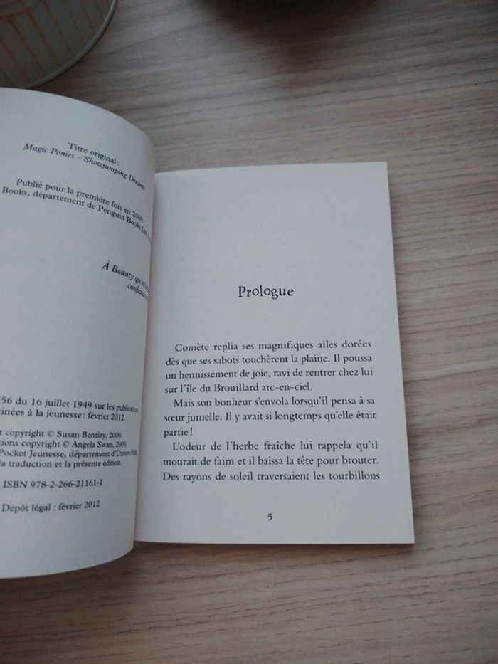 Livre Les Poneys Magiques de Sue Bentley - photo numéro 3