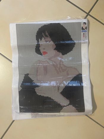 Toile Diamond Painting 30x40cm n°38