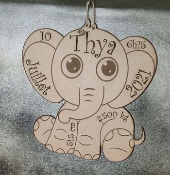 Éléphant naissance
