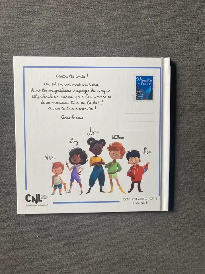 Livre McDonald's un anniversaire dans le maquis corse Virginie grimaldi - photo numéro 2