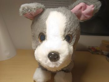 Chien/Chiot interactif - peluche Joué Club "Mon Petit Chien Interactif" 🐕🐾