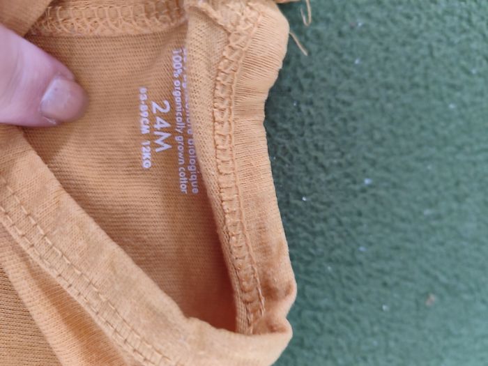 Tee shirt ml roi lion 2 ans - photo numéro 2