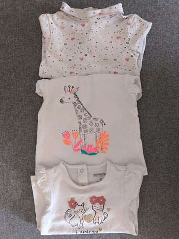 Lot de 3 tee-shirts à ML