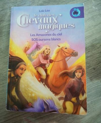 Le club des chevaux magiques