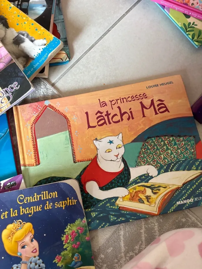 Lot de livre primaire /maternelle - photo numéro 8