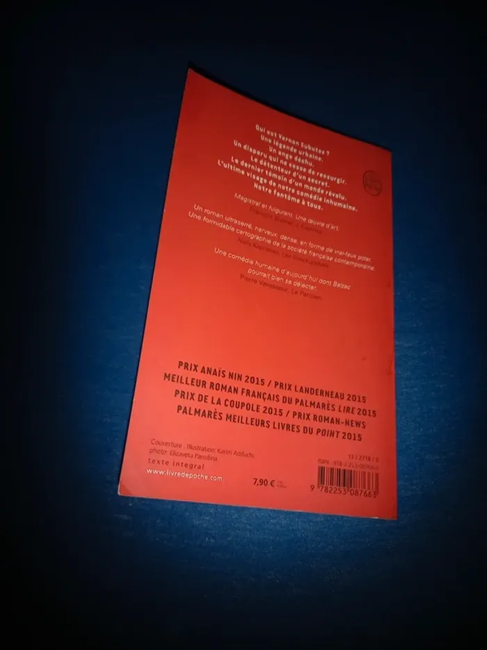 Livre vernon subutex - photo numéro 2