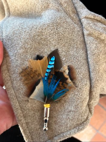 Broches en plume