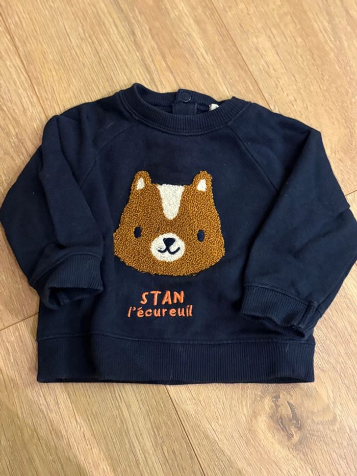 Pull écureuil