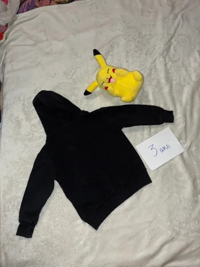 Veste à capuche - photo numéro 2